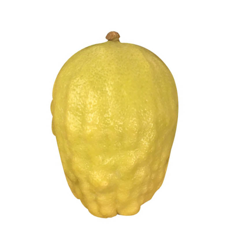 Standard Calabrian Set