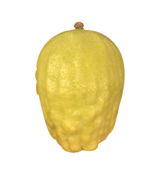 Mehudar Yanover Set (Chabad Anash Custom)